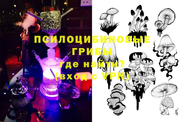 MDMA Богородицк