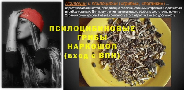 spice Богданович